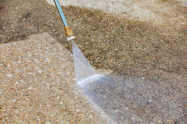 Best Driveway Pressure Washing  in Point Pleasant Beach, NJ